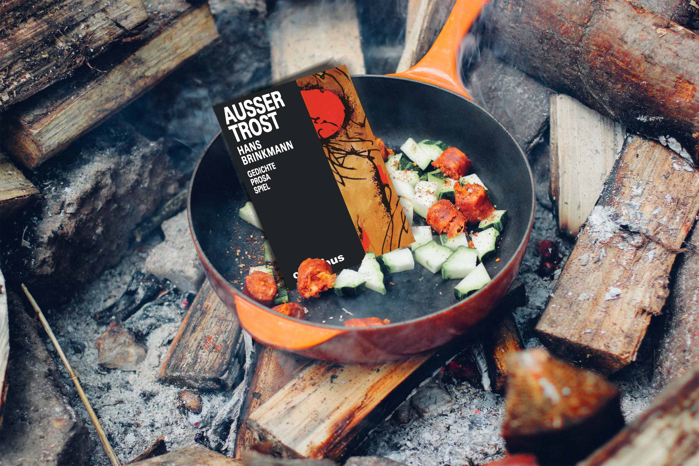 Verlag - Brinkmann Zwischen Erwartung und Erfüllung gähnt ein Abgrund. Und nur die Narren wissen, daß nichts außer Wörter das Schweigen füllt ...